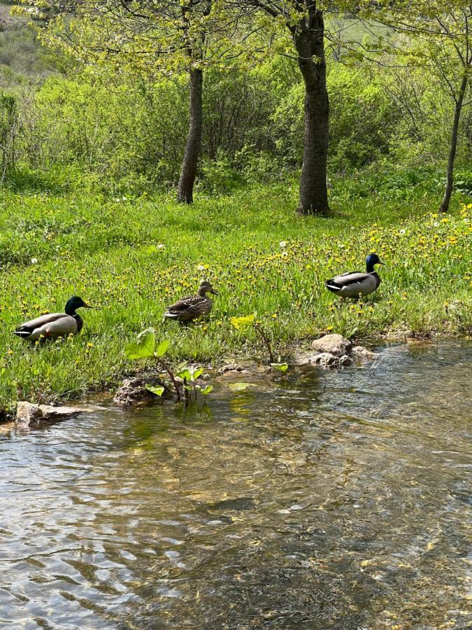 Rustic Inn River 2 Plitvička Jezera Eksteriør billede